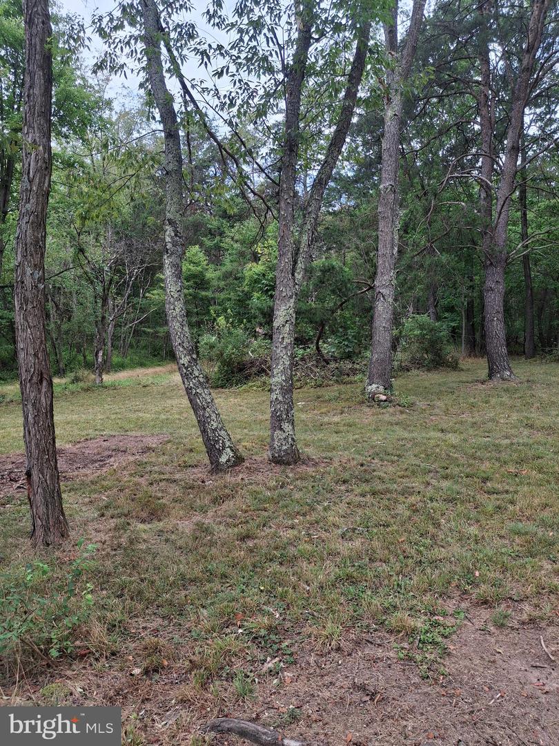 45 Towson Ln Property Photo 55