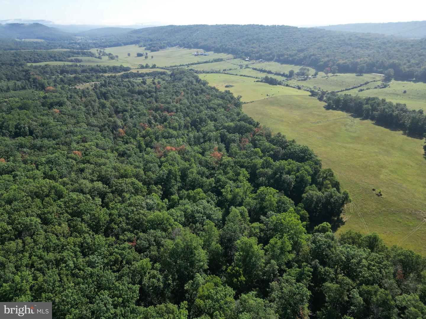 1895 Becks Gap Rd Property Photo 55