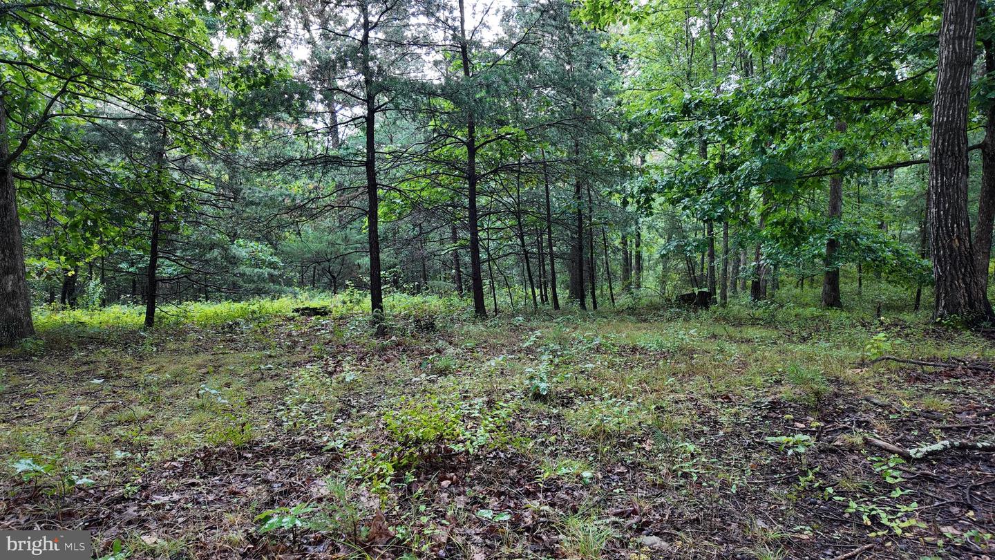 1895 Becks Gap Rd Property Photo 71