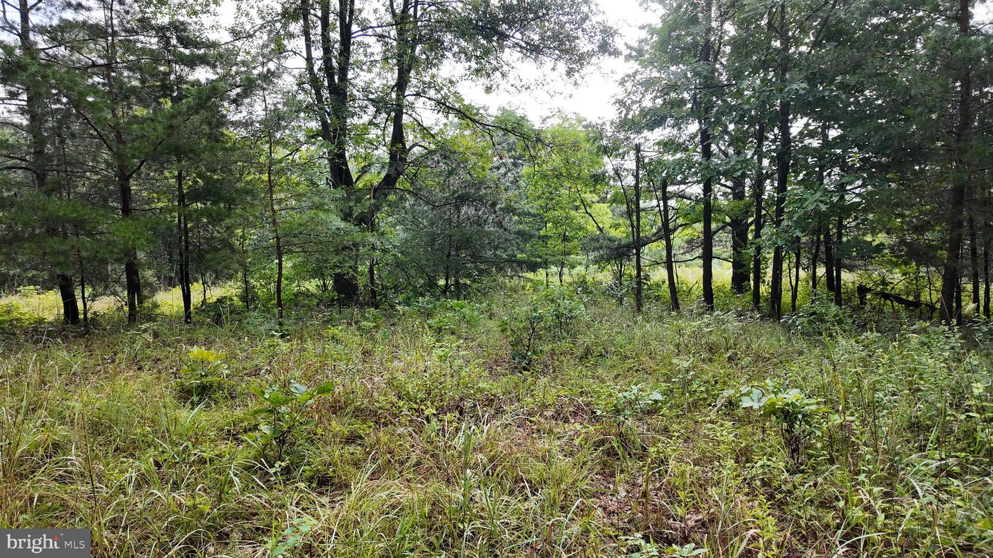 1895 Becks Gap Rd Property Photo 73