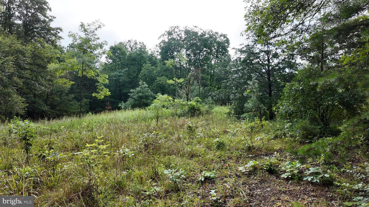 1895 Becks Gap Rd Property Photo 74