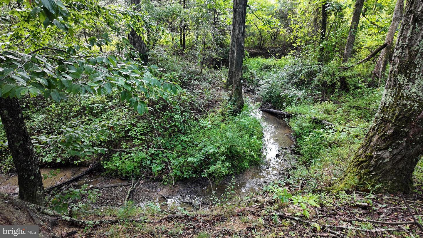 1895 Becks Gap Rd Property Photo 79