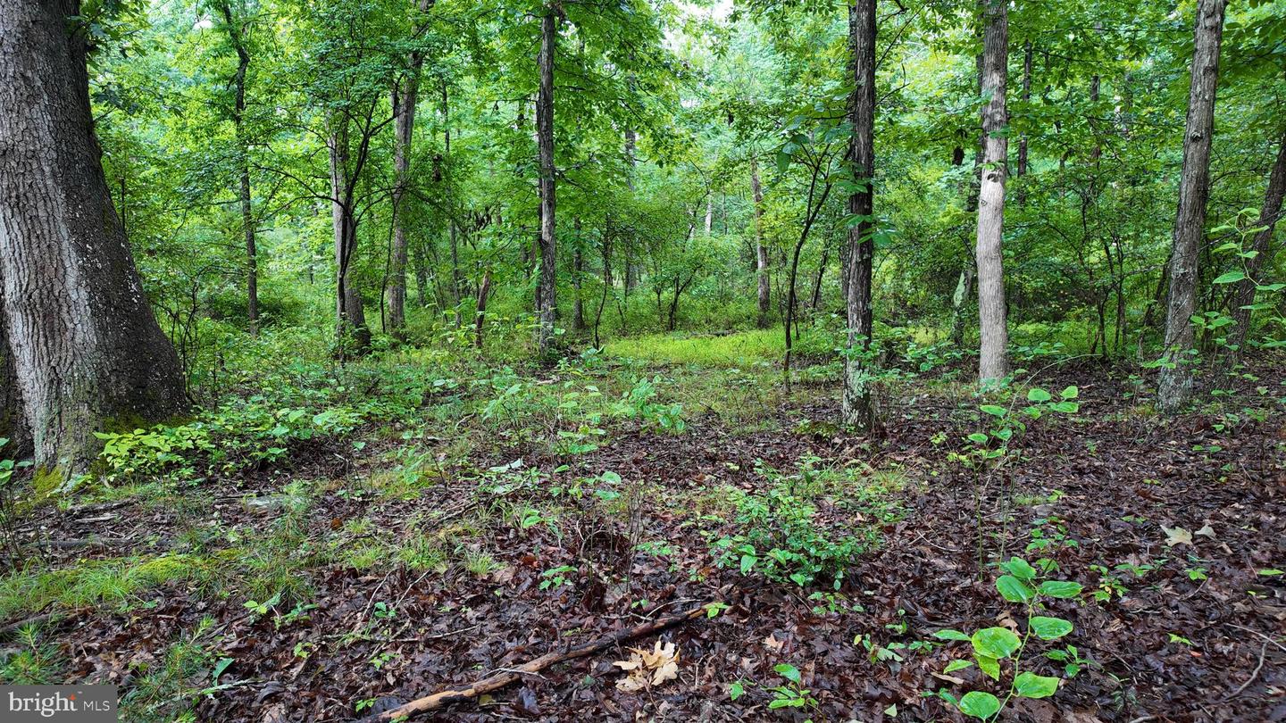 1895 Becks Gap Rd Property Photo 81