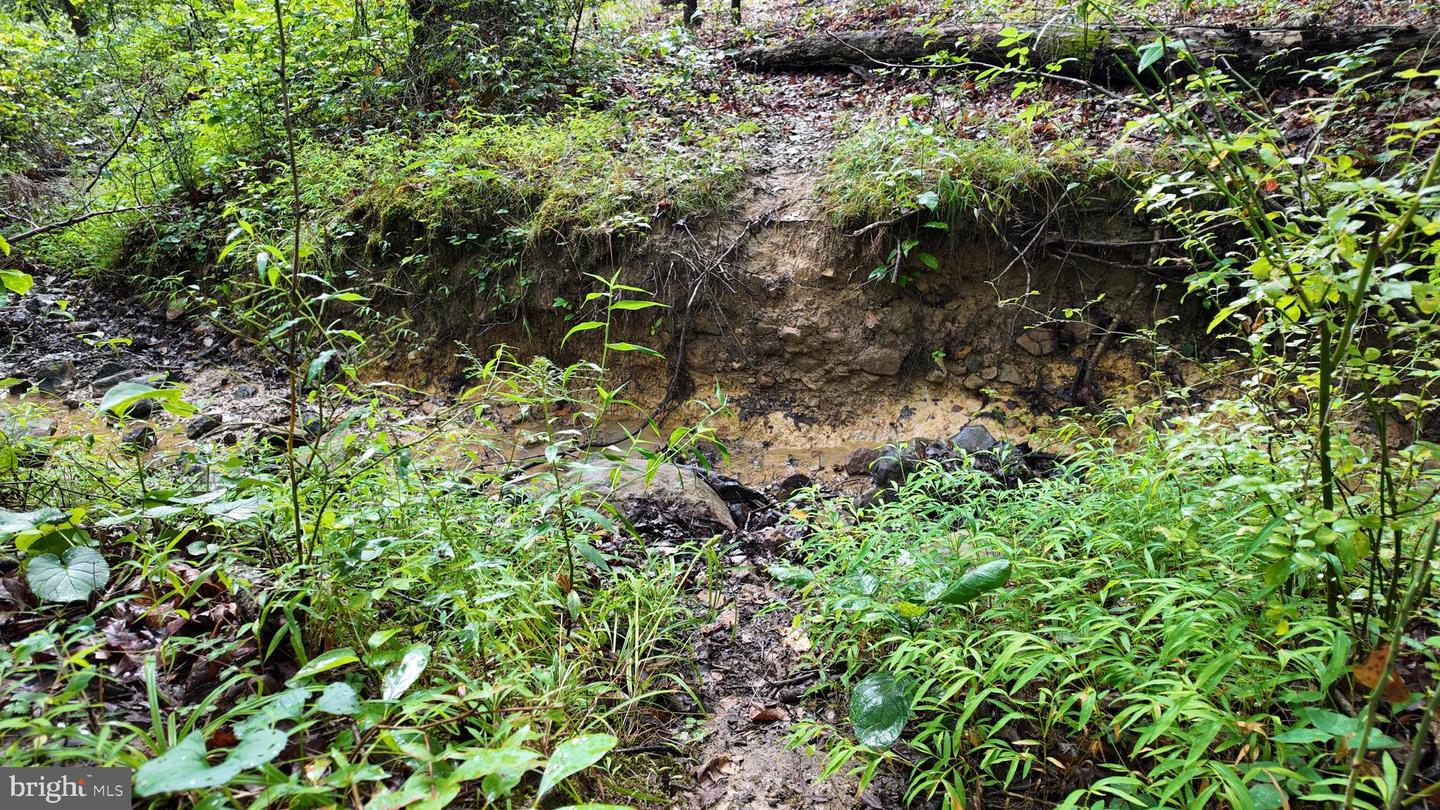 1895 Becks Gap Rd Property Photo 83