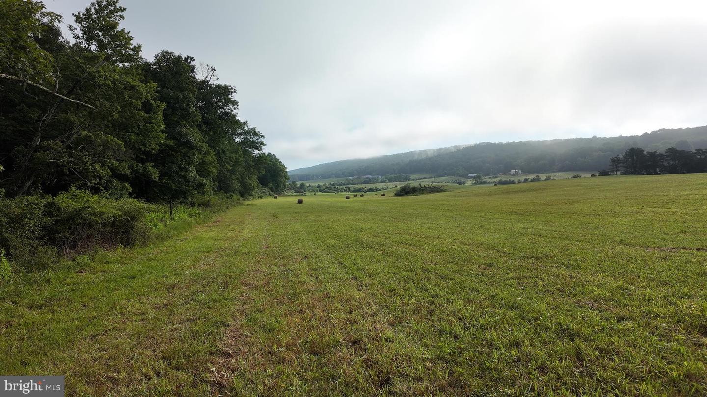 1895 Becks Gap Rd Property Photo 86