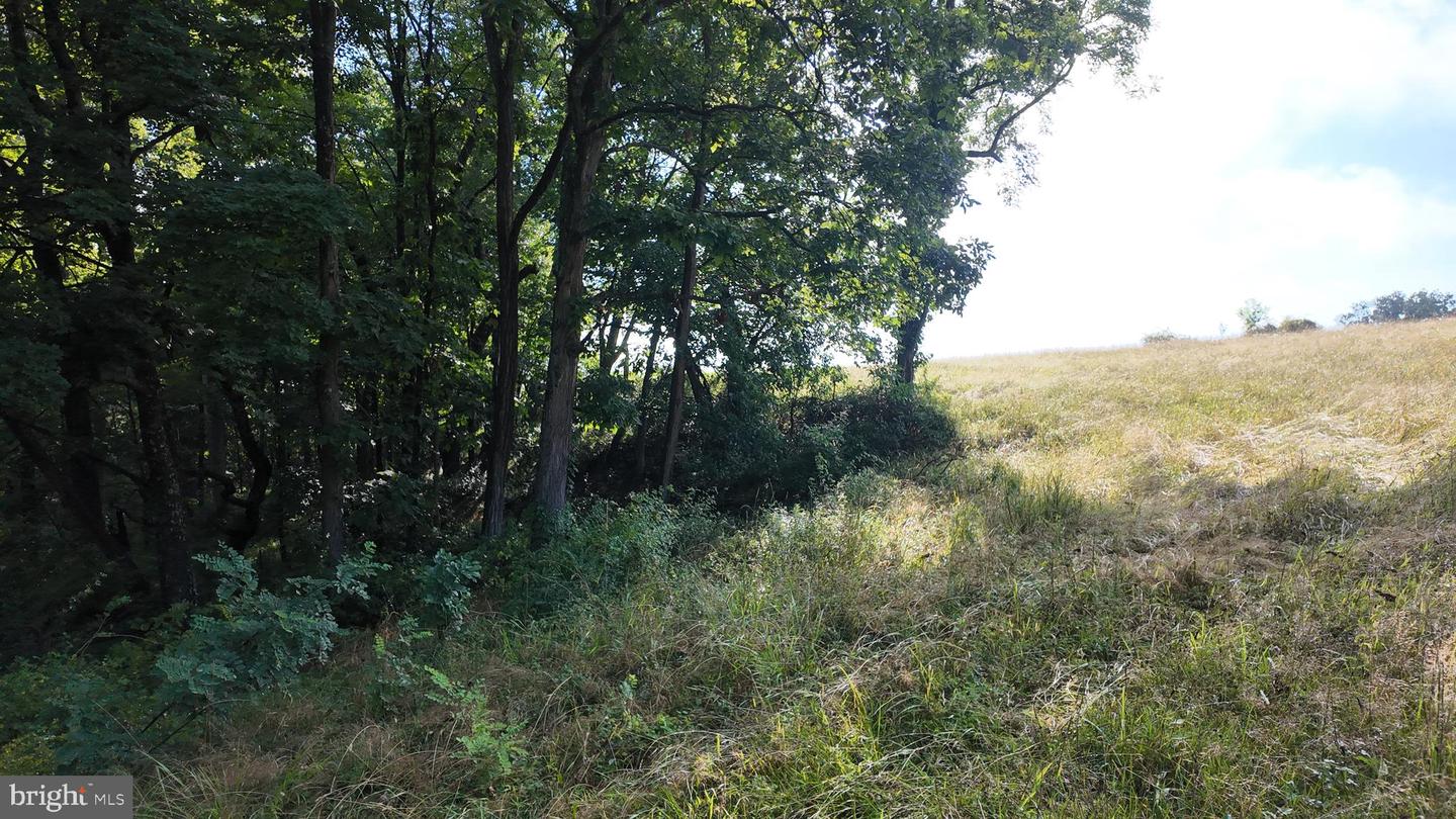 1895 Becks Gap Rd Property Photo 91