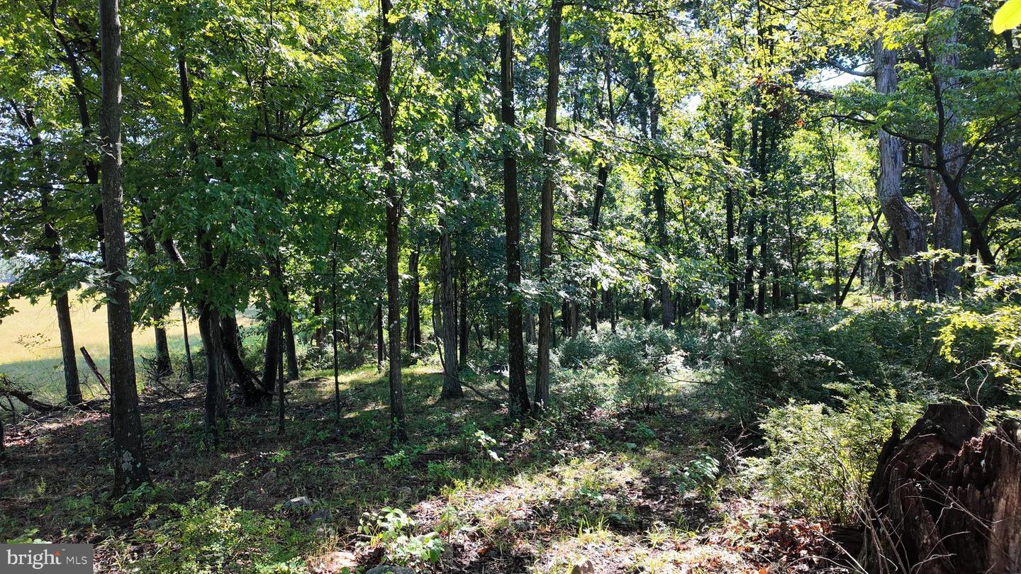 1895 Becks Gap Rd Property Photo 92