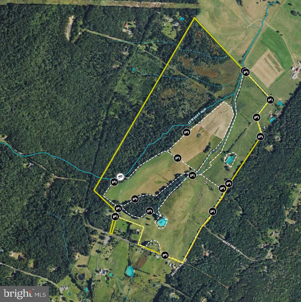 1895 Becks Gap Rd Property Photo 101