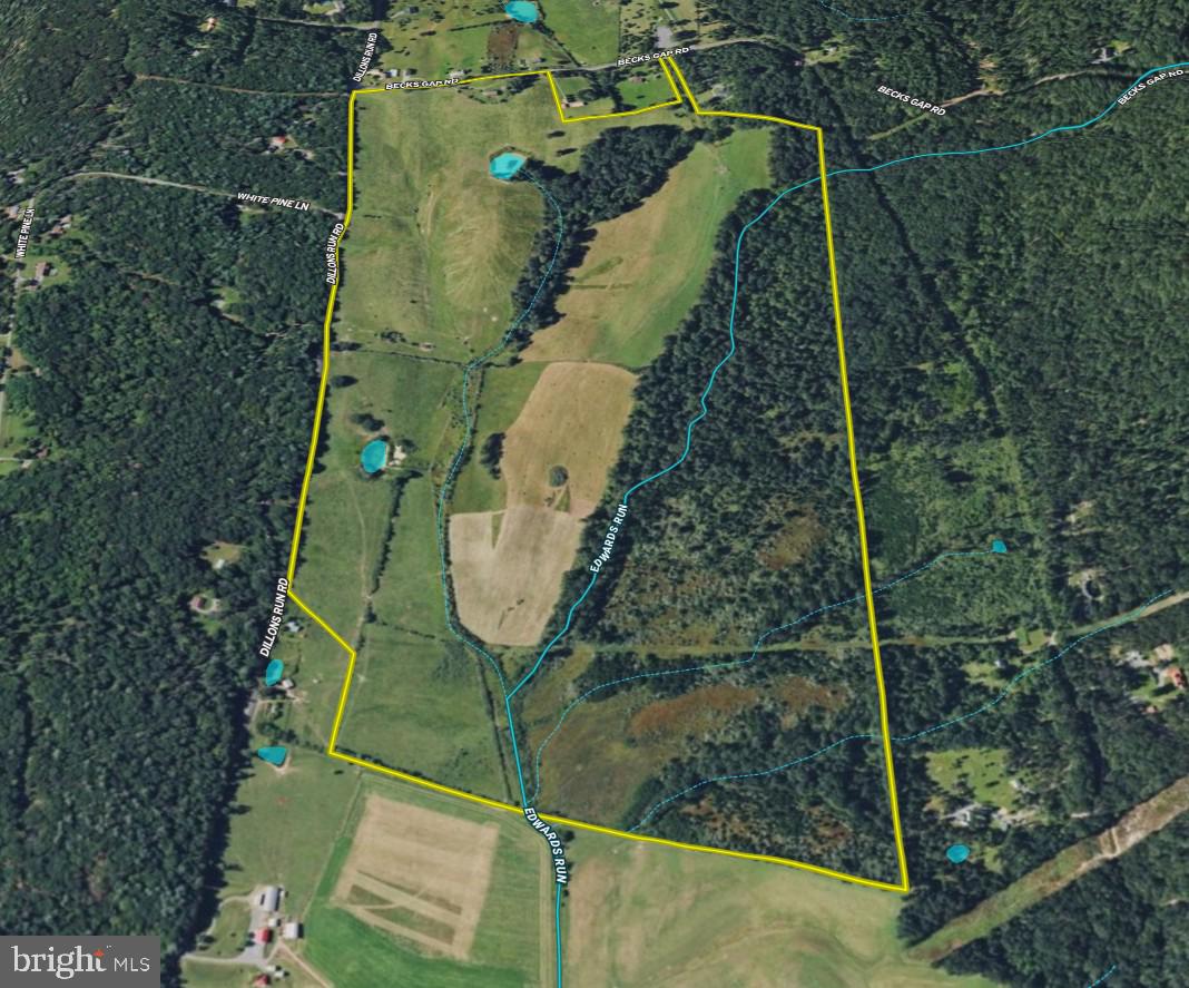1895 Becks Gap Rd Property Photo 103