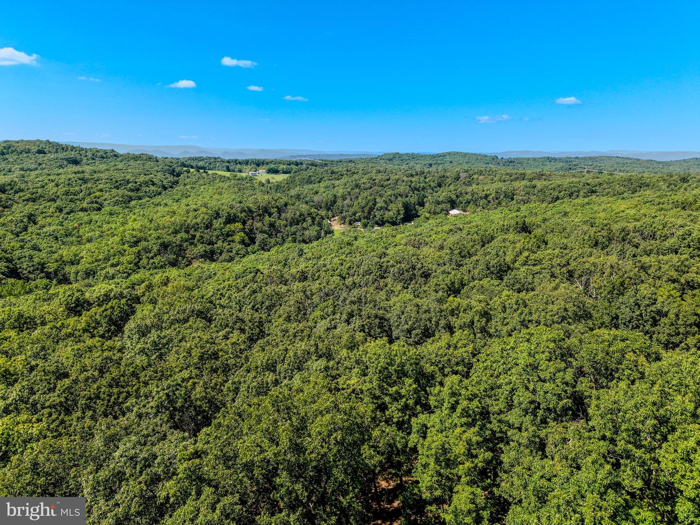 15ac Goldsborough Rd Property Photo 5