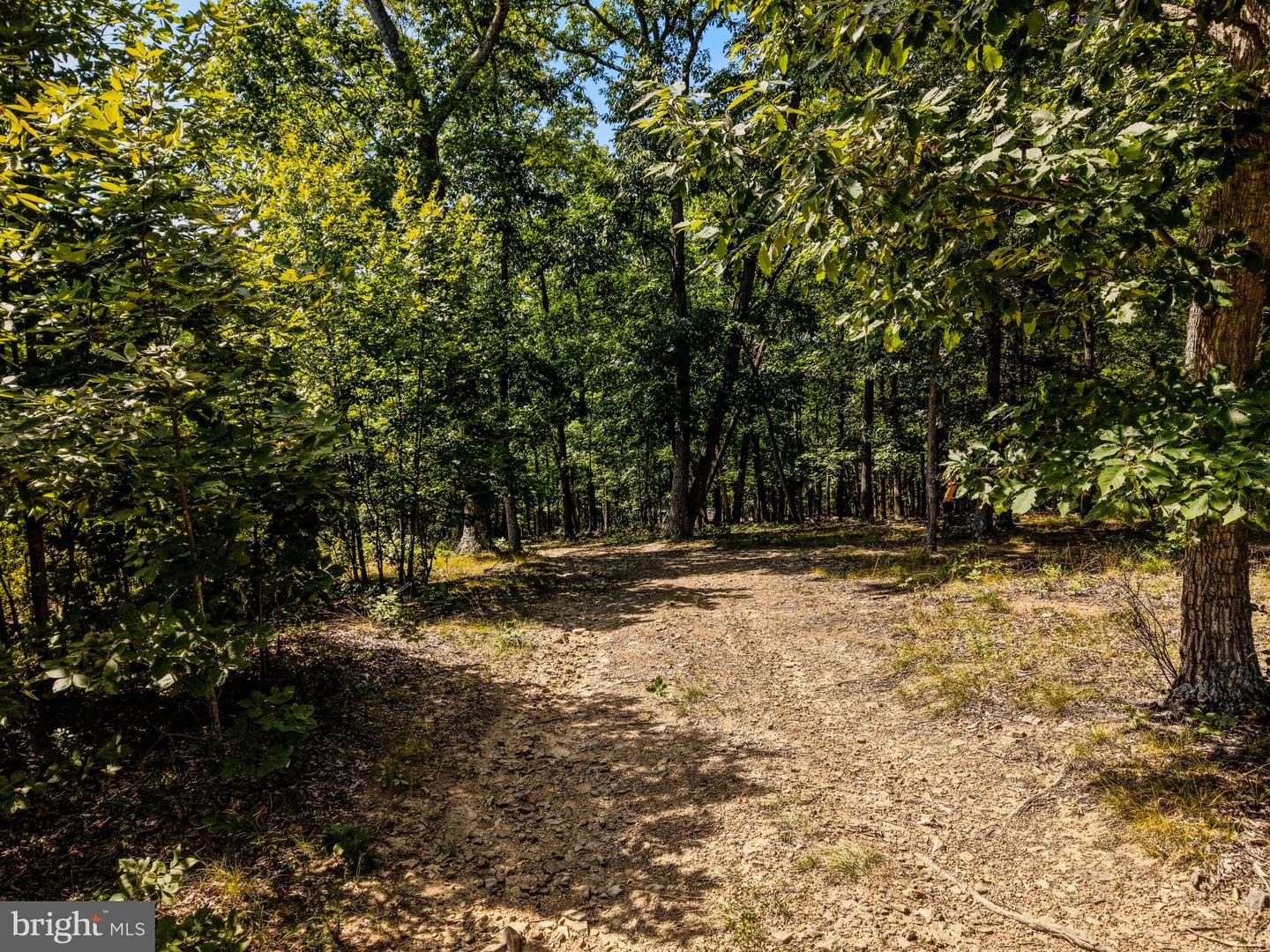 15ac Goldsborough Rd Property Photo 17