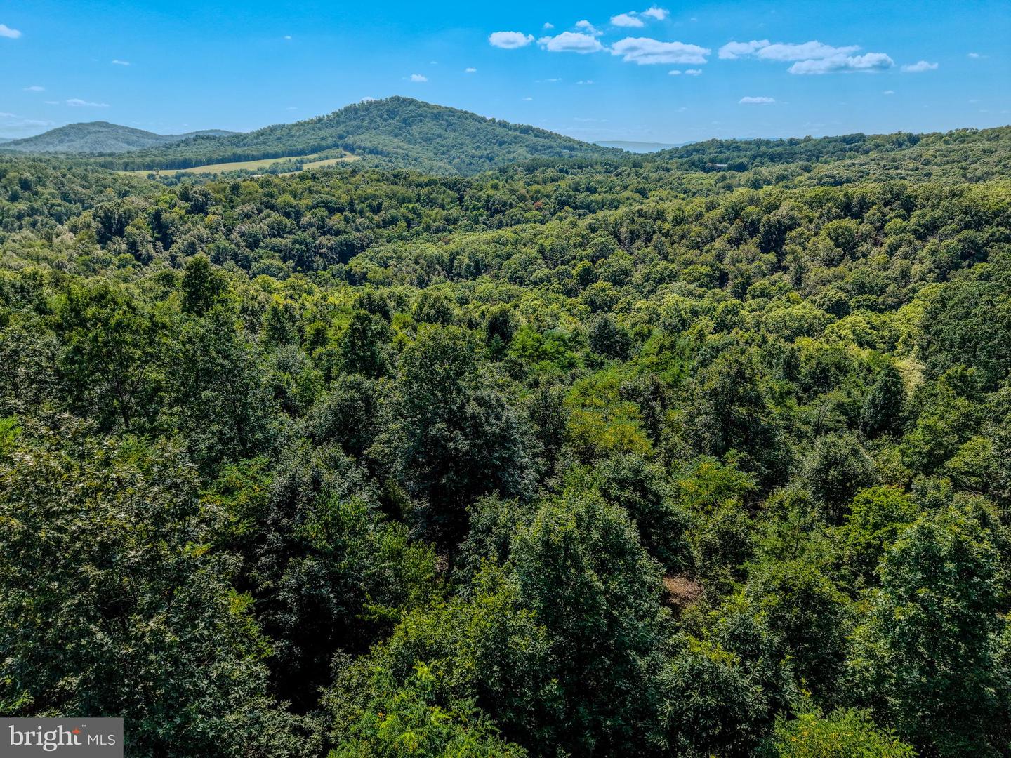 15ac Goldsborough Rd Property Photo 18