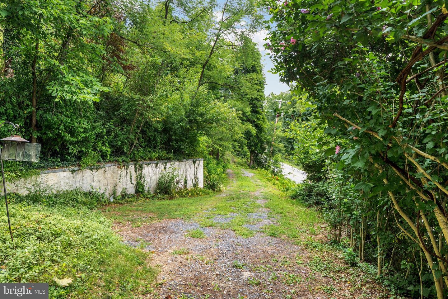 10170 Carpers Pike Property Photo 27