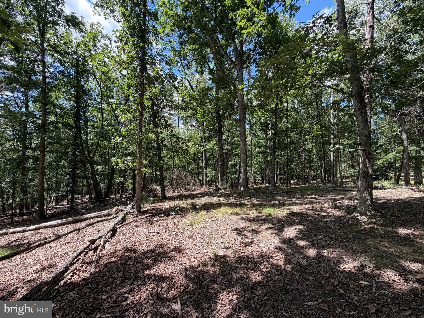 9 Long Acre Estates Property Photo 12