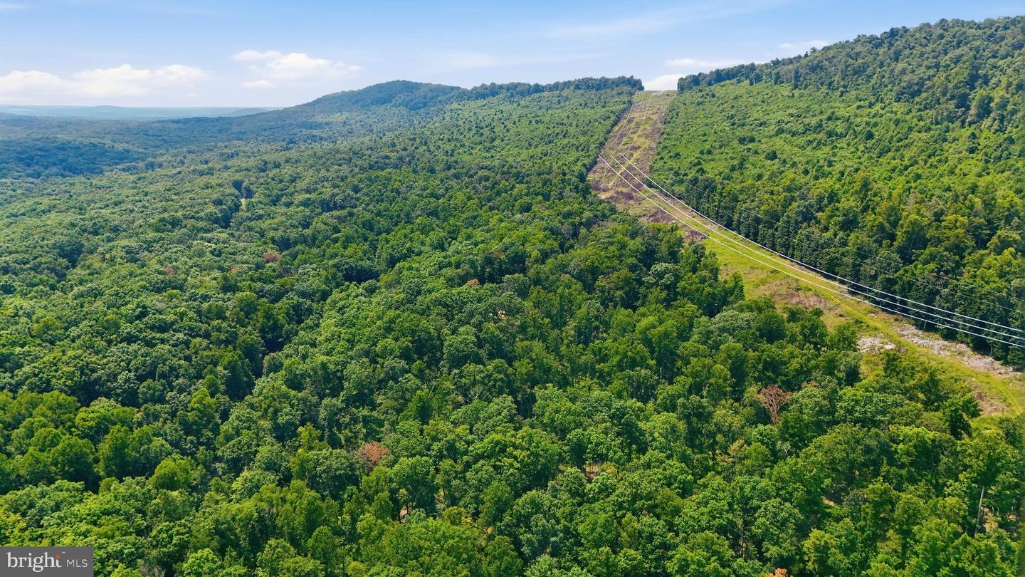14.29ac Whispering Pines Rd Property Photo 2
