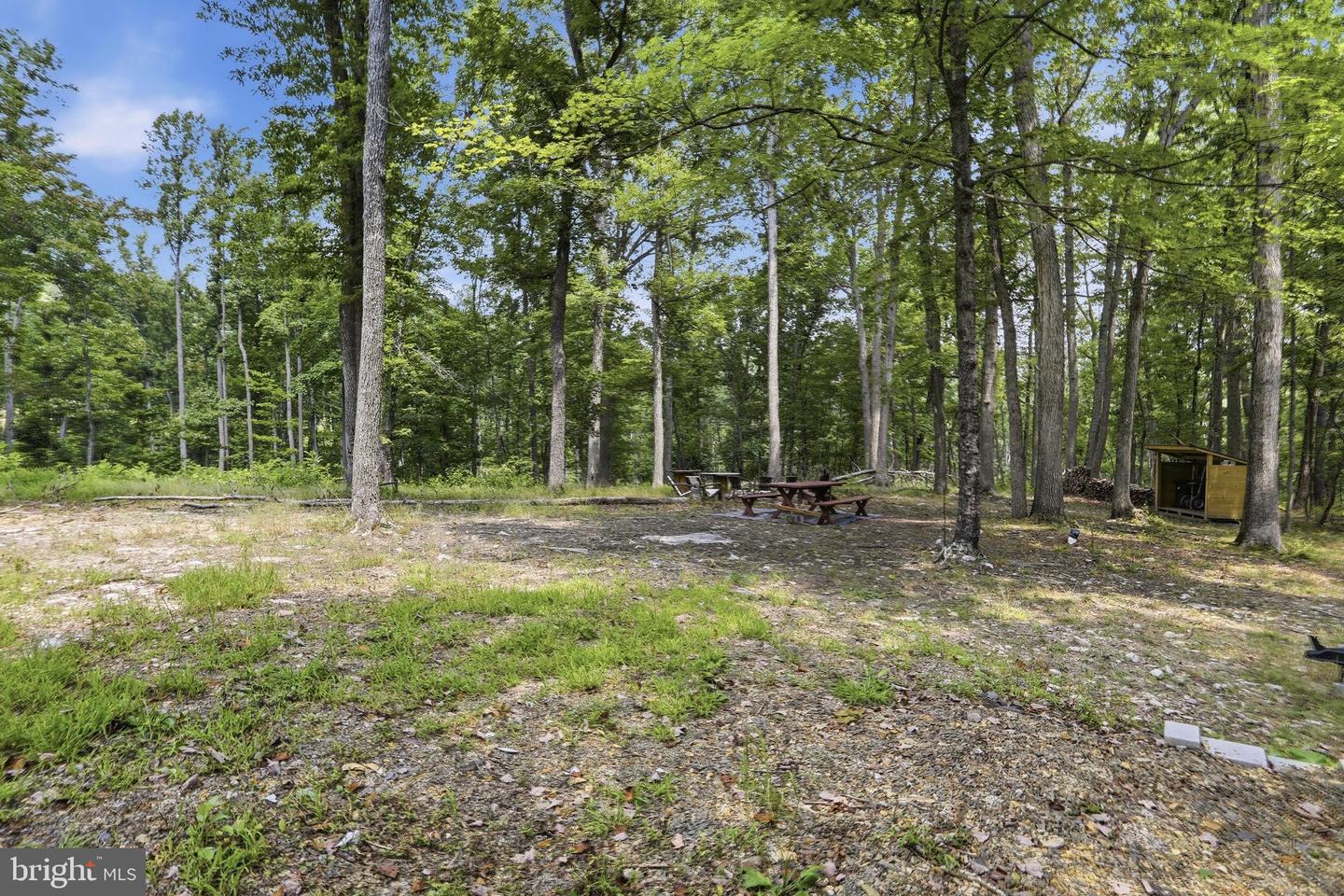 14.29ac Whispering Pines Rd Property Photo 4