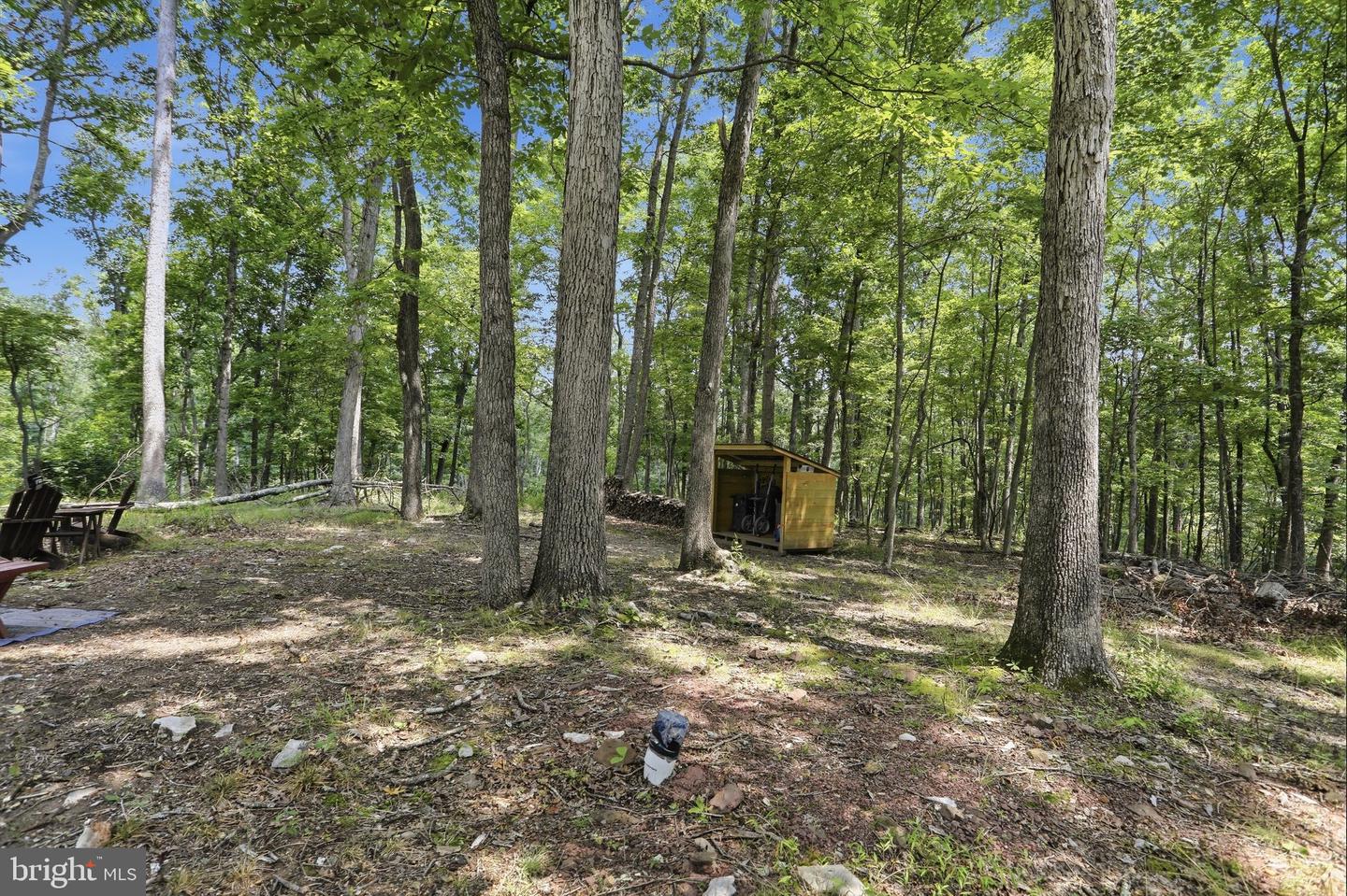 14.29ac Whispering Pines Rd Property Photo 5