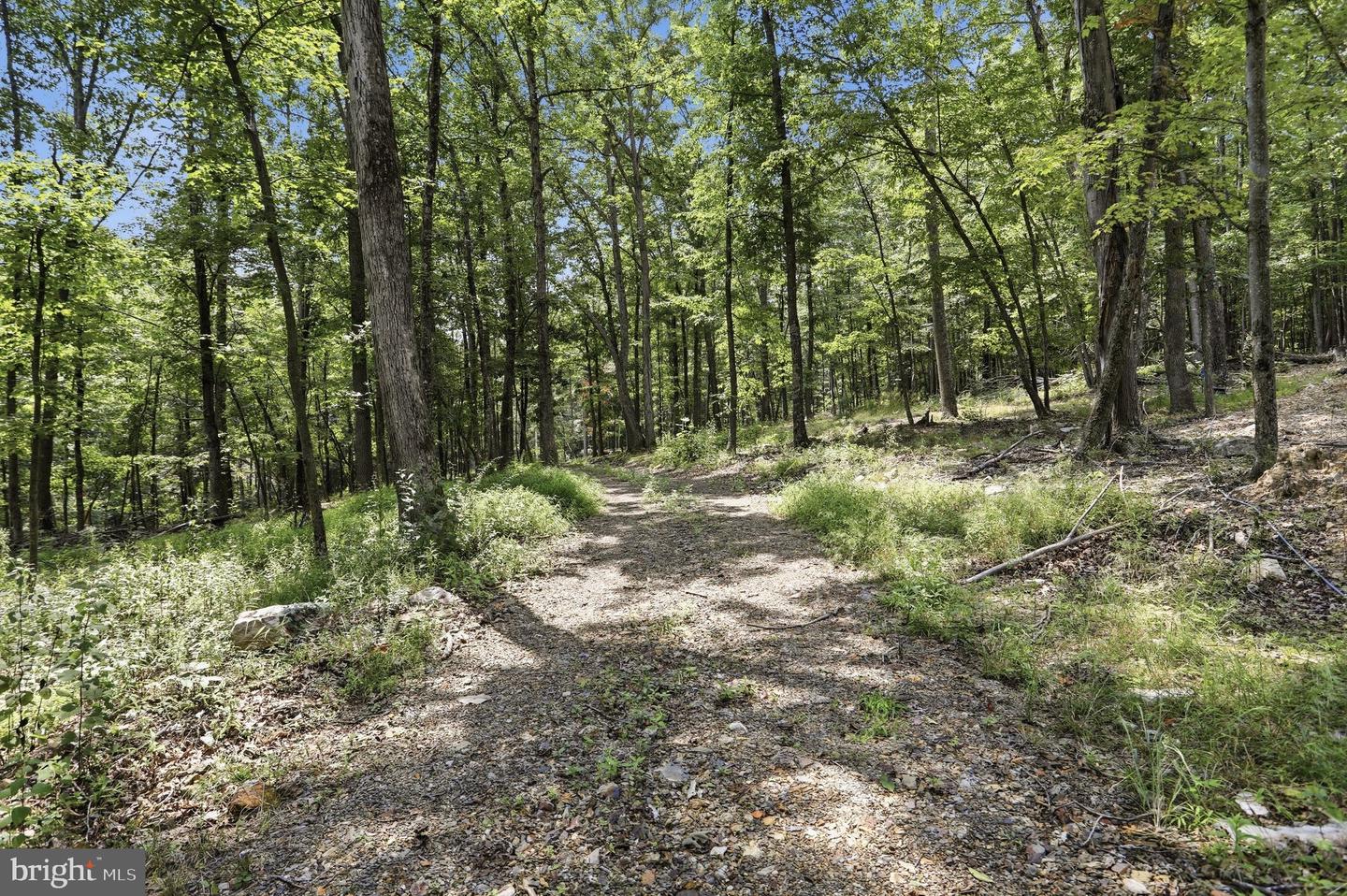 14.29ac Whispering Pines Rd Property Photo 9