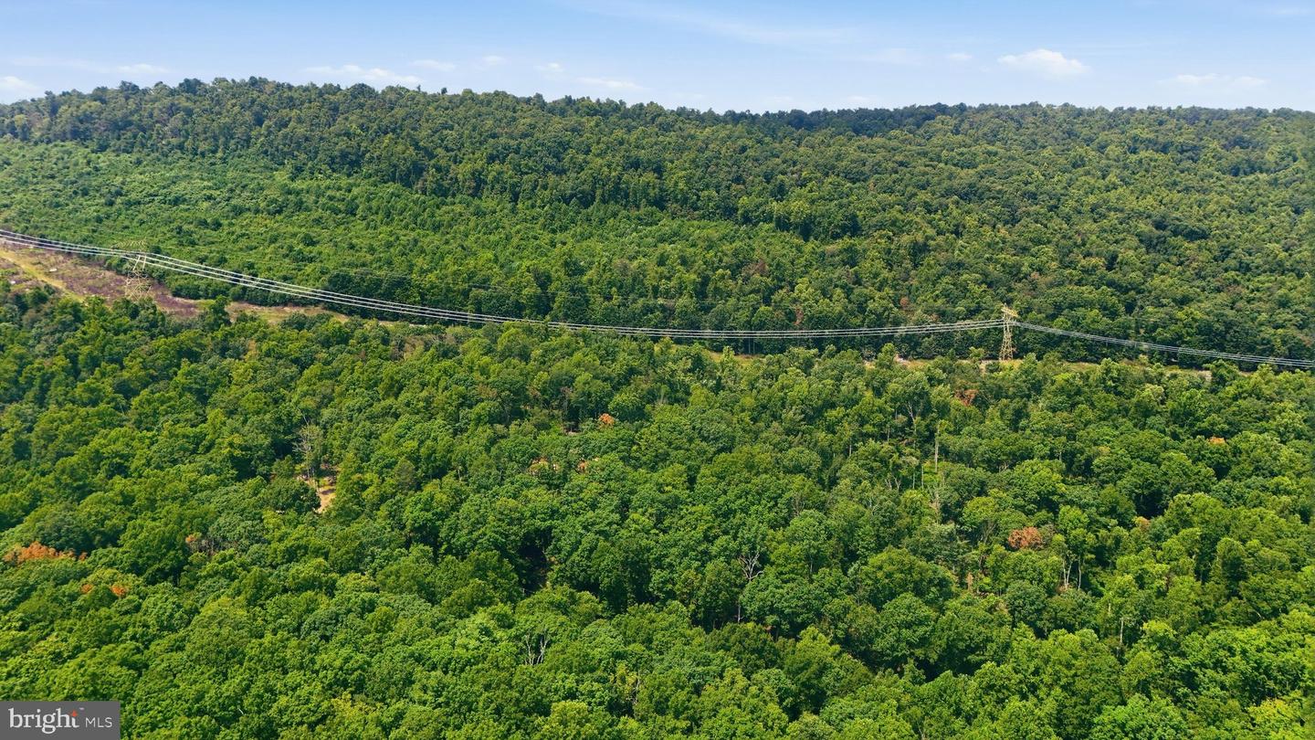 14.29ac Whispering Pines Rd Property Photo 10