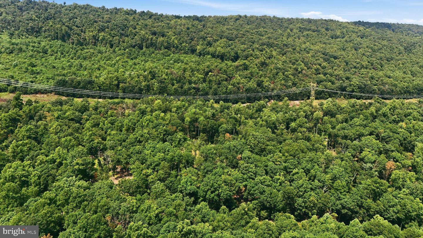 14.29ac Whispering Pines Rd Property Photo 12