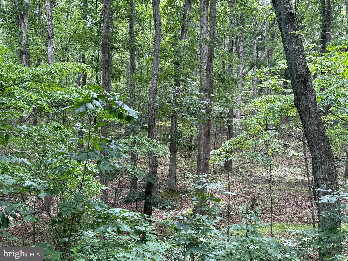 8.34 ACRES ON ARNOLD STICKLEY RD.