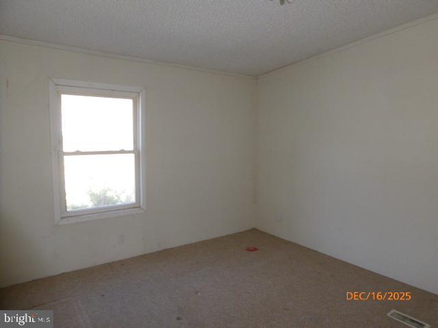 183 Sherman Dr Property Photo 10