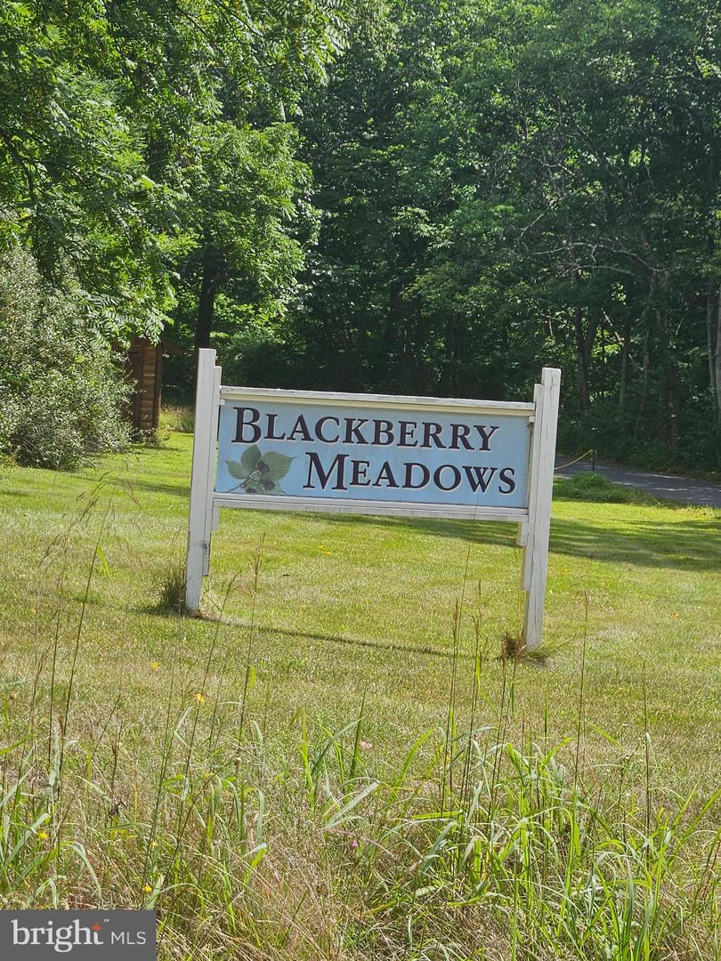 Lot 2 Blackberry Meadows No Physical Address Property Photo 1