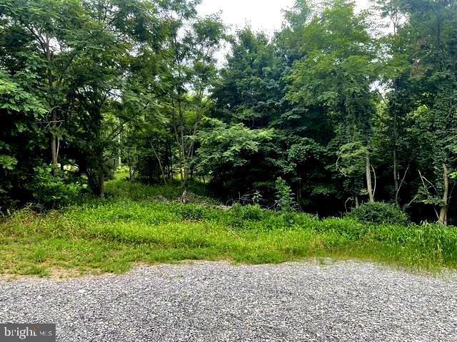 172 Majestic Ln Property Photo 20