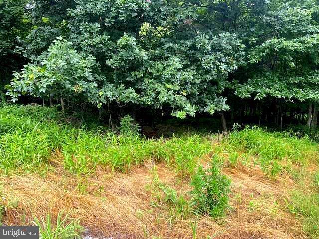 172 Majestic Ln Property Photo 22