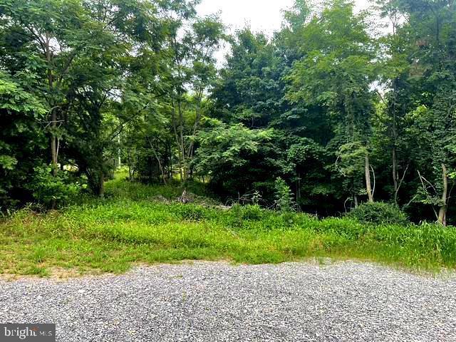 172 Majestic Ln Property Photo 25