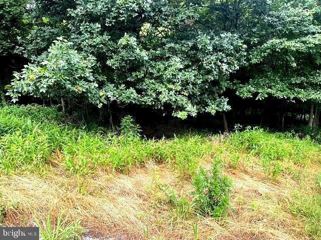 172 Majestic Ln Property Photo 26