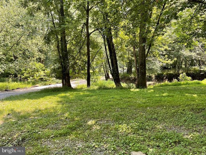 172 Majestic Ln Property Photo 33