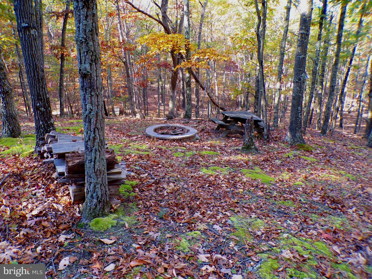 Lot 29 Deer Ridge Estates Property Photo 1