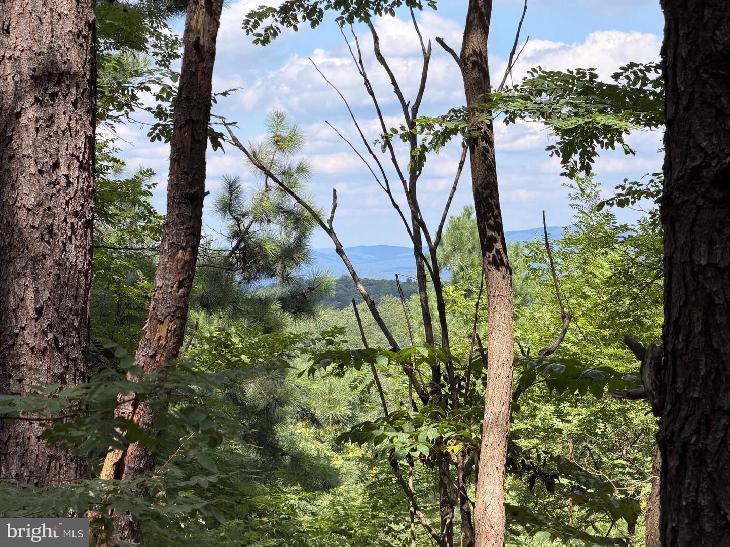 3 Bluffs On The Potomac Property Photo 4