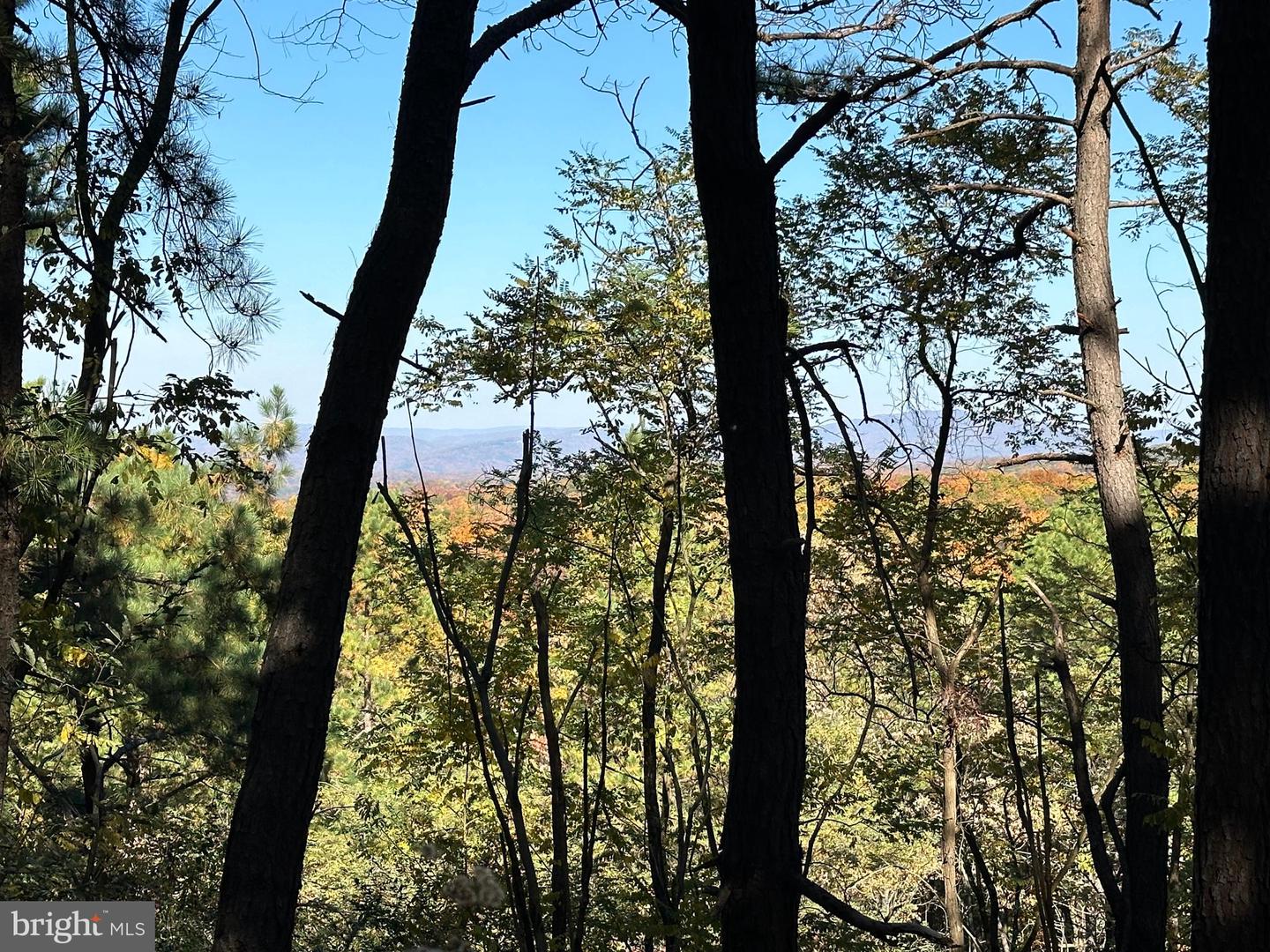 3 Bluffs On The Potomac Property Photo 6