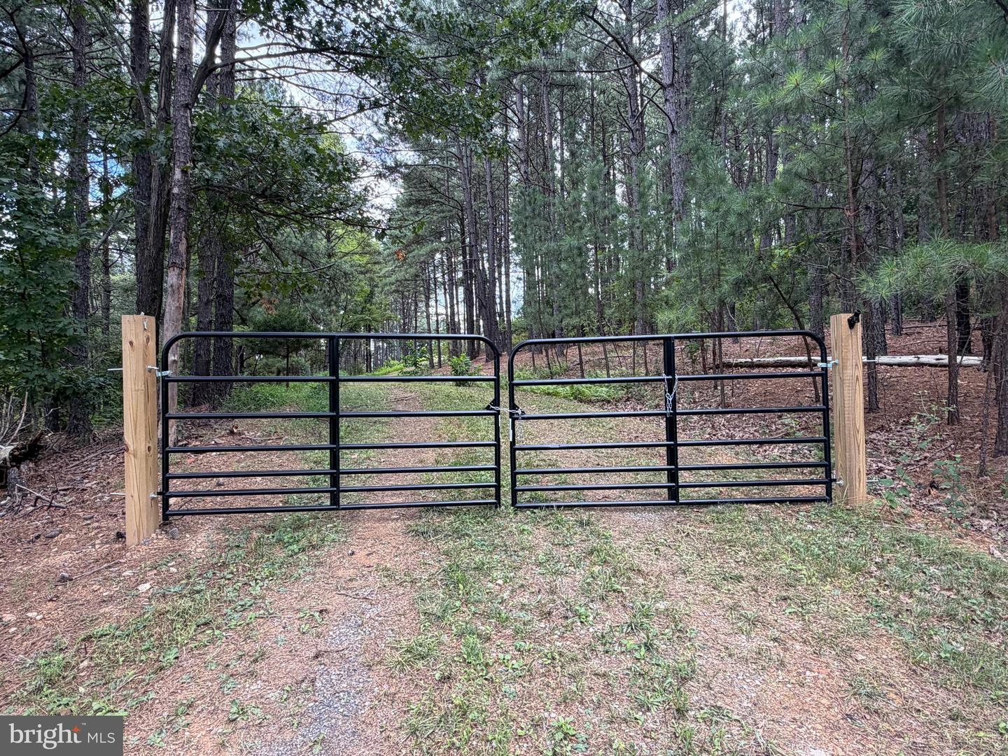 3 Bluffs On The Potomac Property Photo 21