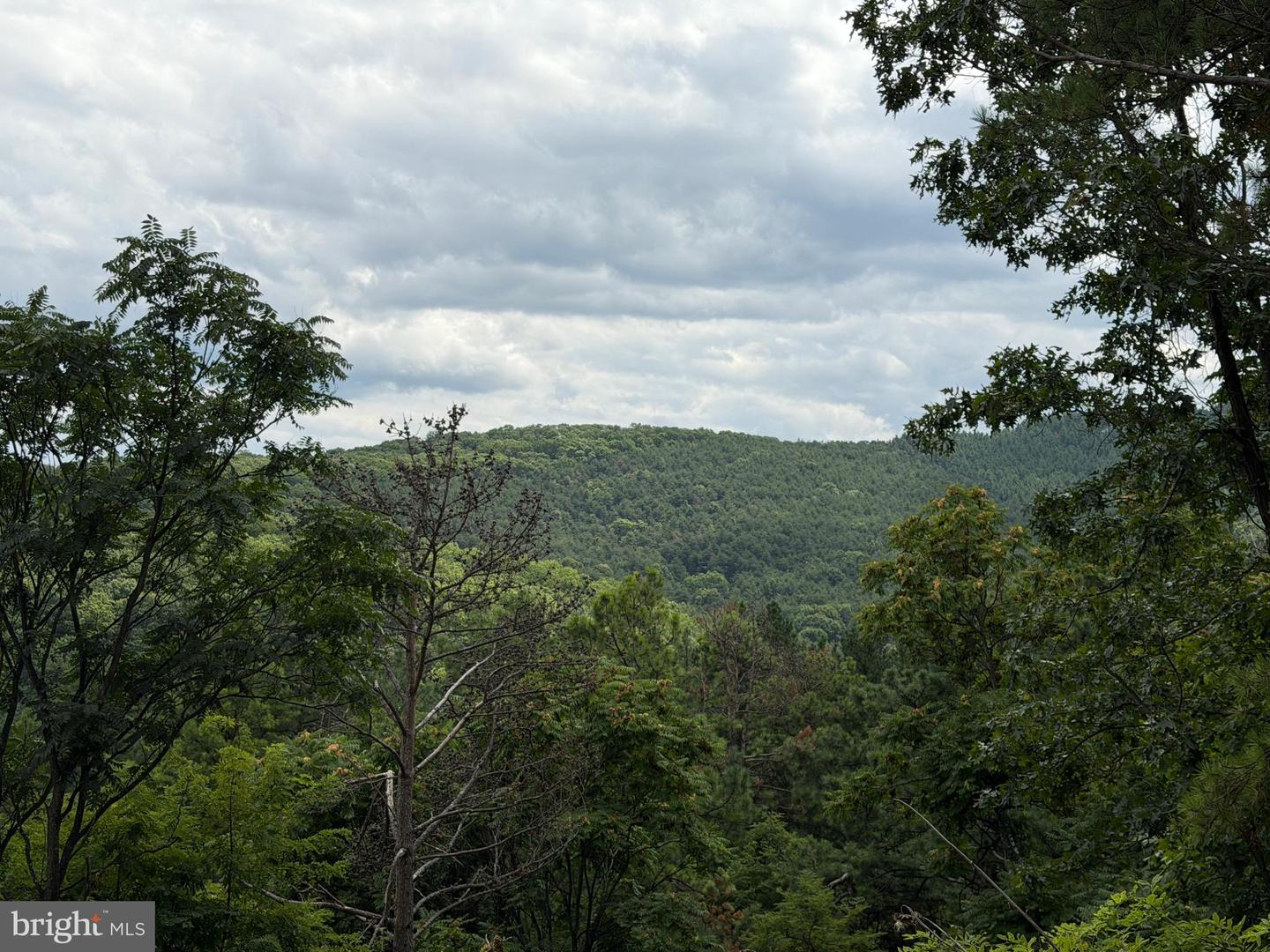 3 Bluffs On The Potomac Property Photo 25