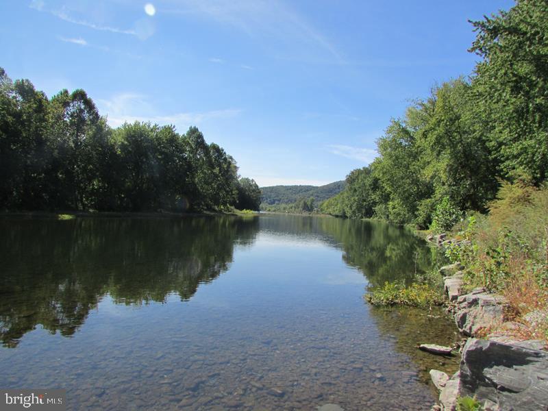 3 Bluffs On The Potomac Property Photo 46