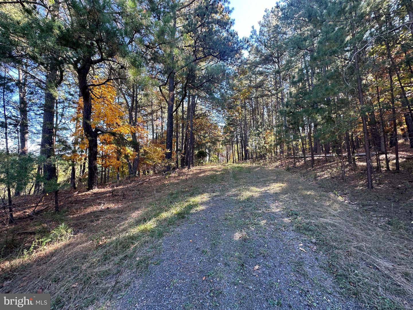 3 Bluffs On The Potomac Property Photo 50