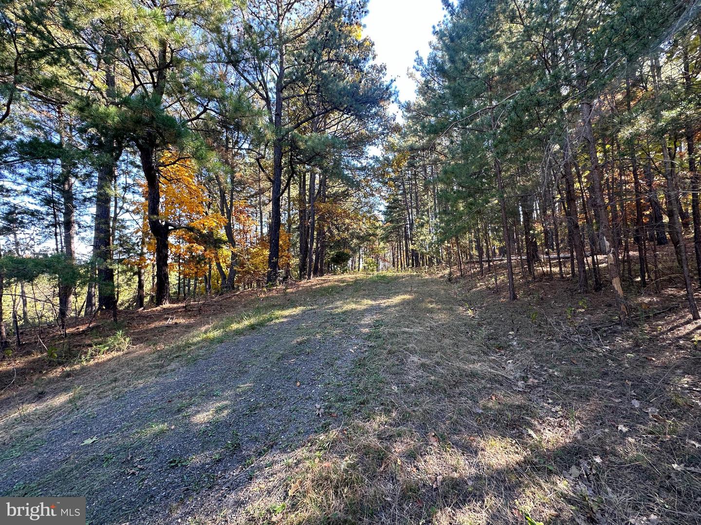 3 Bluffs On The Potomac Property Photo 51