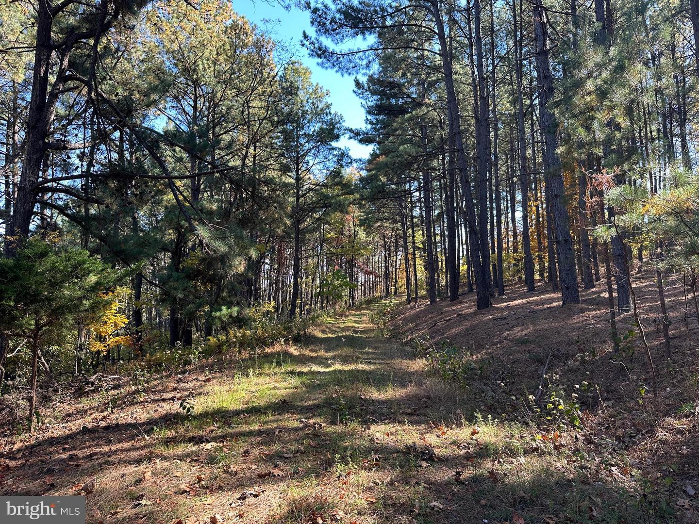 3 Bluffs On The Potomac Property Photo 53