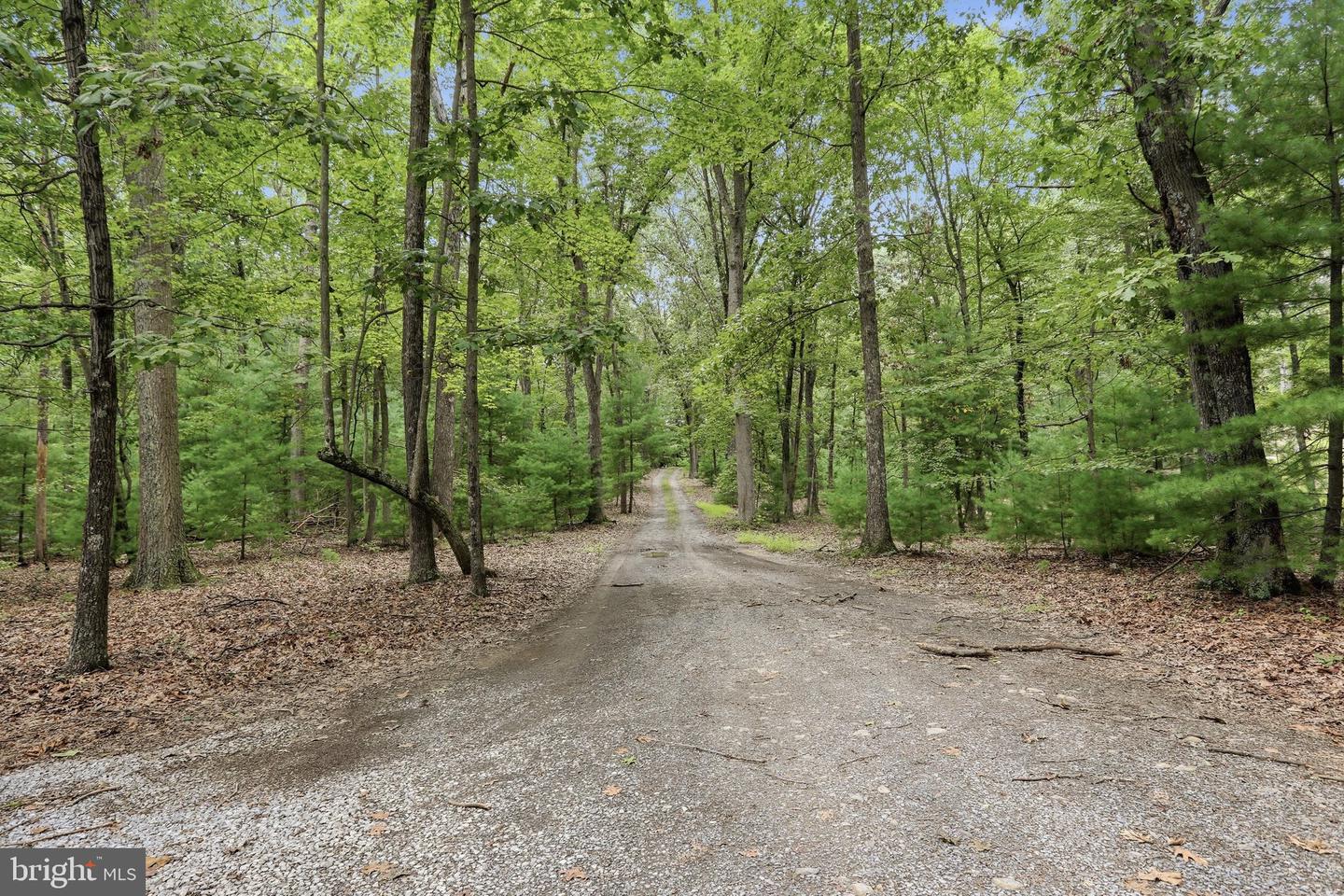 899 Oak Dale Ct Property Photo 4