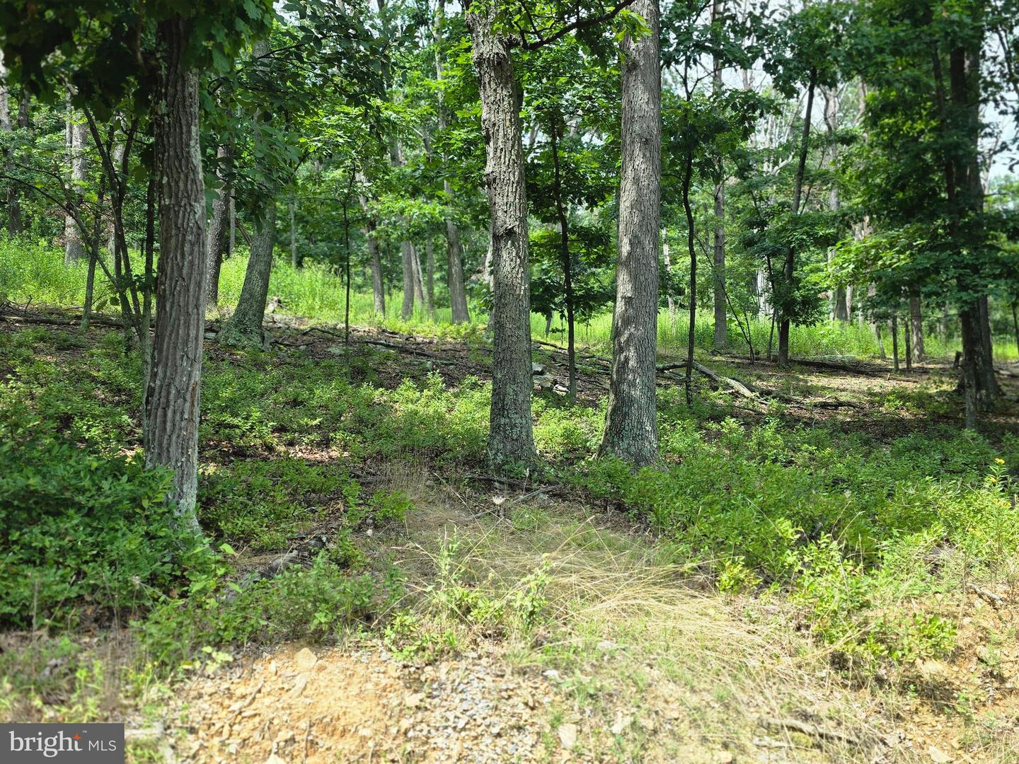 LOTS 6 & 7 PIONEER LN Property Photo 1
