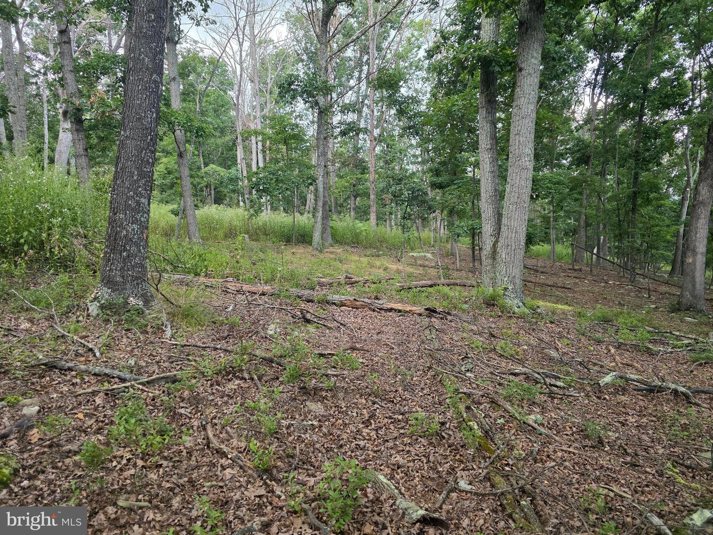 Lots 6 & 7 Pioneer Ln Property Photo 3