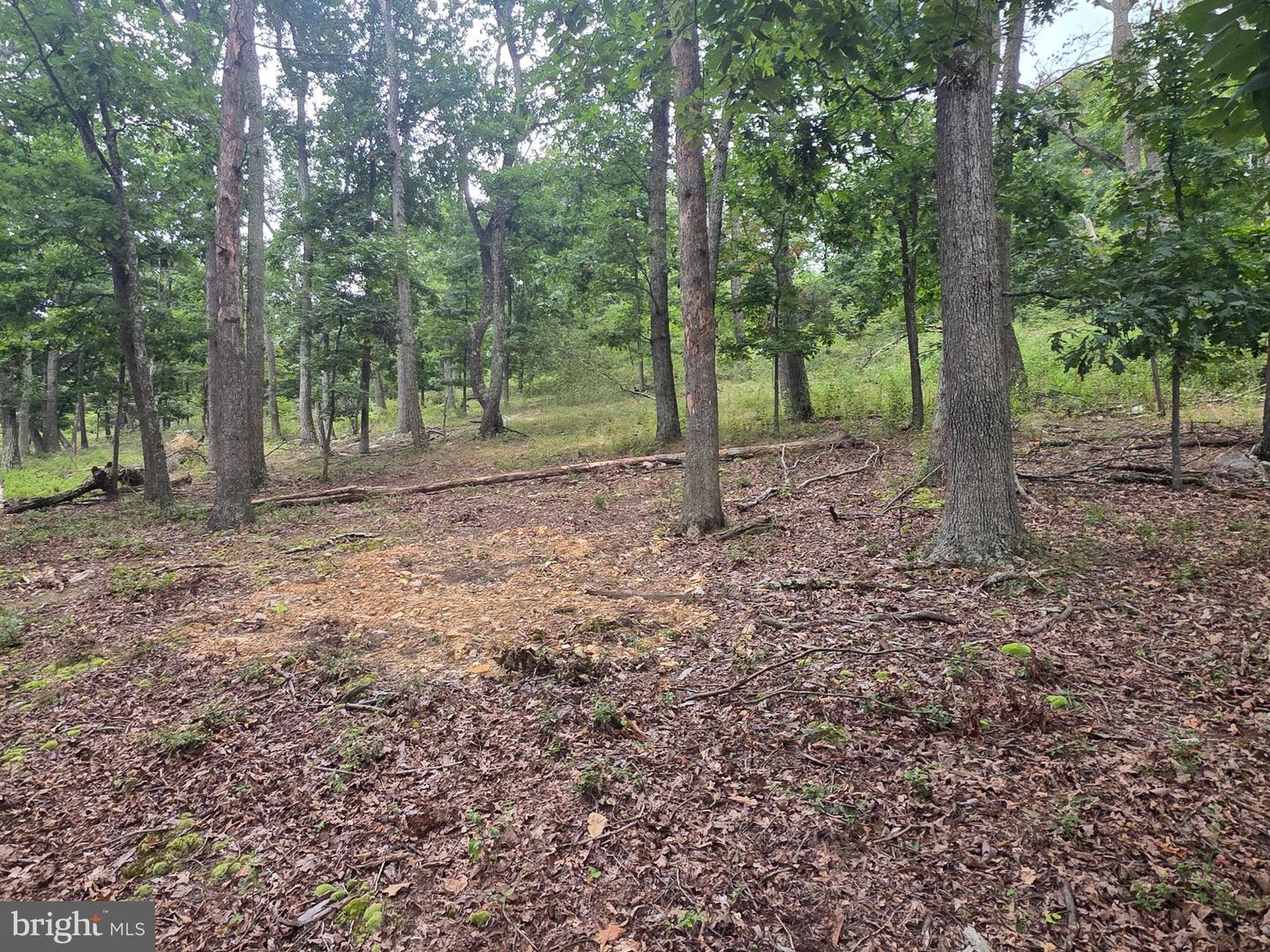 Lots 6 & 7 Pioneer Ln Property Photo 11