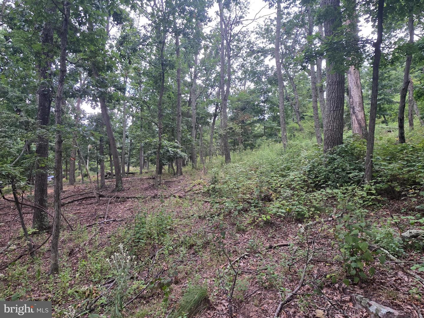 Lots 6 & 7 Pioneer Ln Property Photo 12