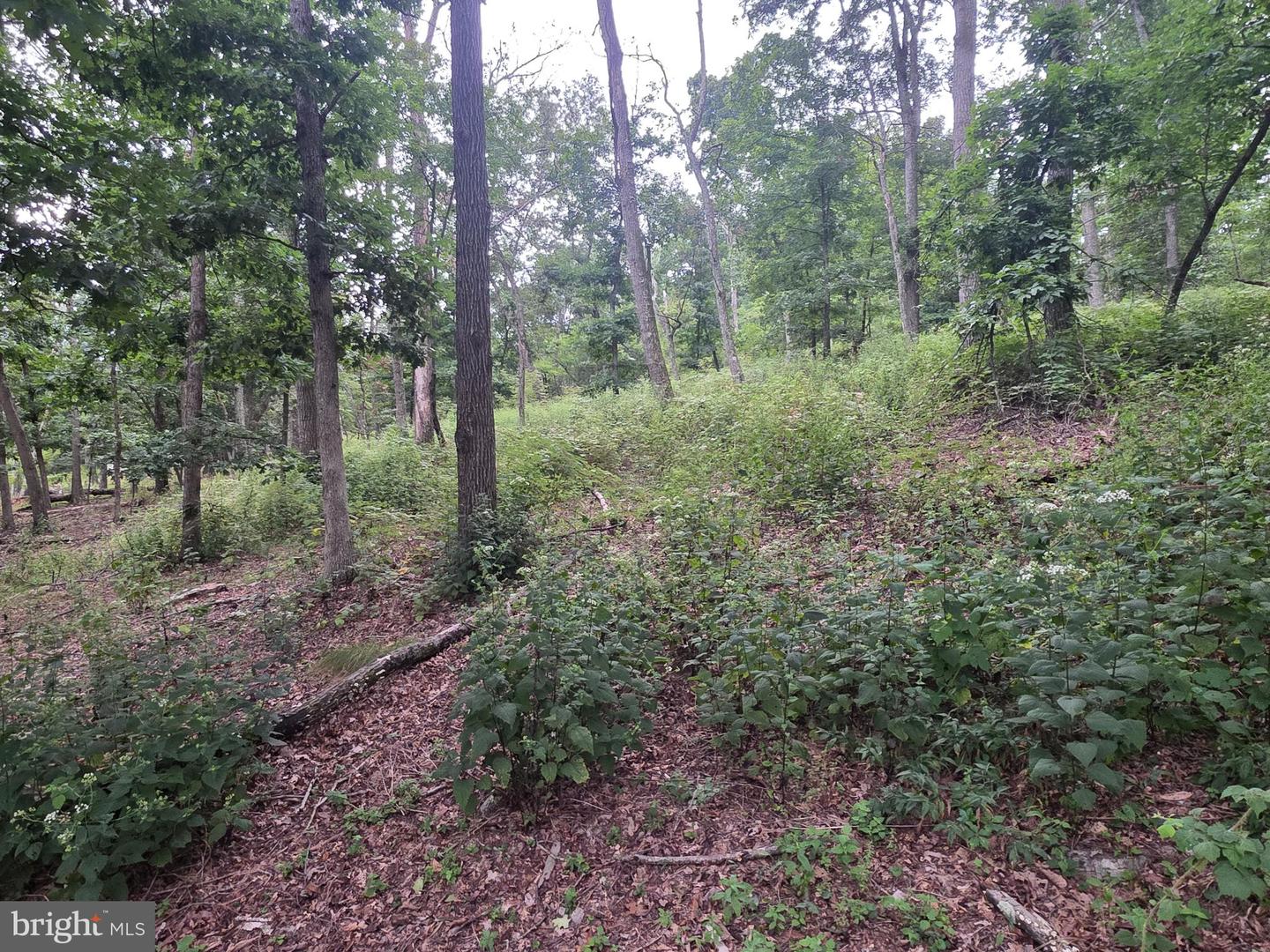 Lots 6 & 7 Pioneer Ln Property Photo 14