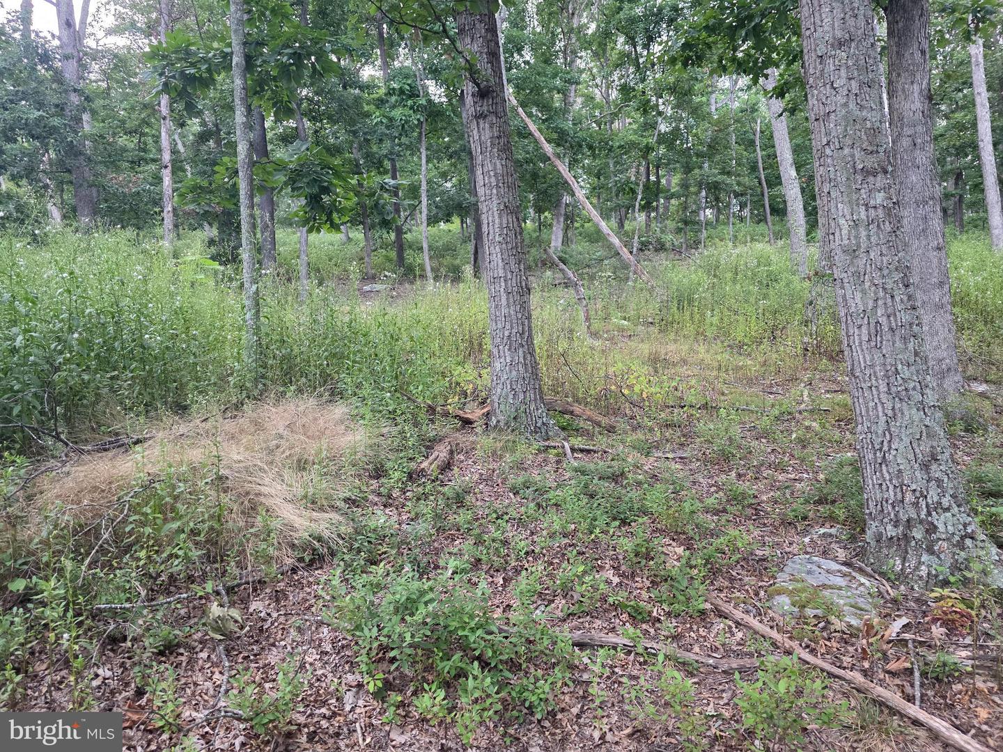Lots 6 & 7 Pioneer Ln Property Photo 17
