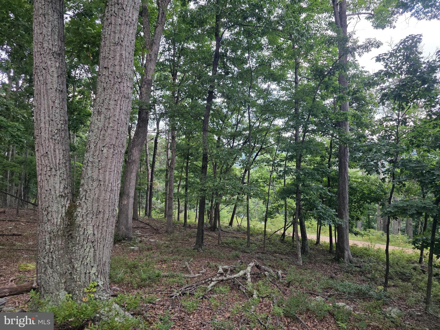 Lots 6 & 7 Pioneer Ln Property Photo 19