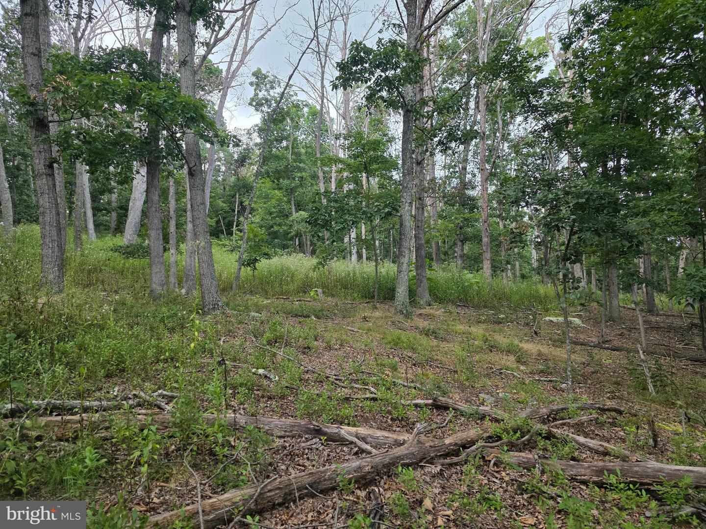 Lots 6 & 7 Pioneer Ln Property Photo 20